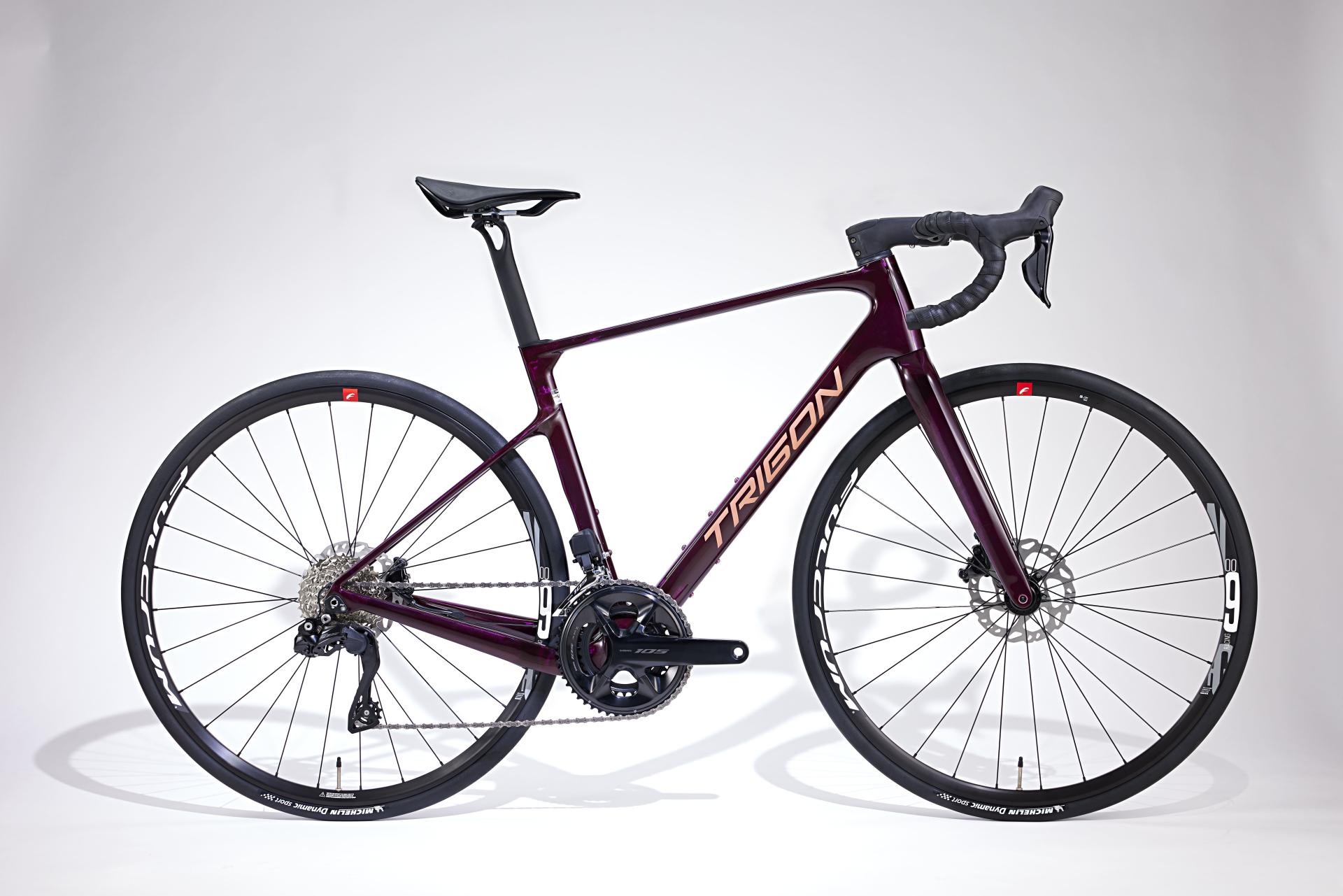 RC 經典公路車-intro-image-1